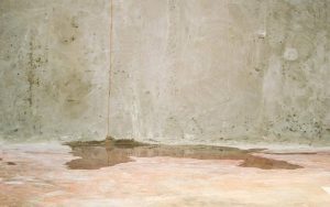 How Long Does It Take For Water To Damage Foundation in Houston, Texas?
