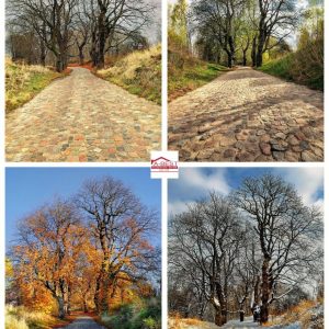 How Do Seasonal Changes Affect Home Foundations?