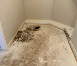 Baseboards off and the slab exposed while we level this room from the inside
